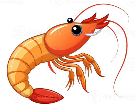 Cartoon Prawn Isolated On Transparent Background Detailed And Fun Sea