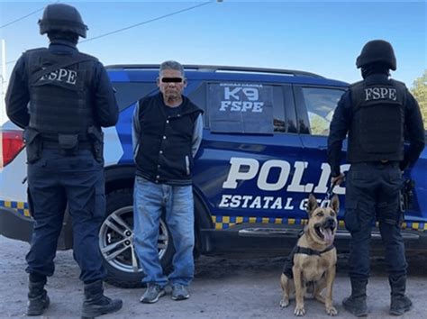 En Pénjamo la Unidad Canina K9 detecta a sujeto con droga Brunoticias