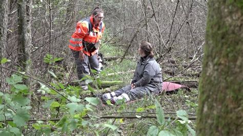 So Suchen Drk Rettungshunde Vermisste Personen Im Meller Wald Noz