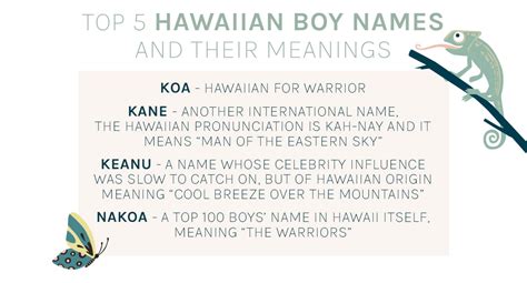 Hawaiian Culture: Names & Meanings – DE PURELEI