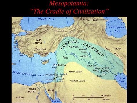 Ppt Mesopotamia The Cradle Of Civilization Powerpoint Presentation