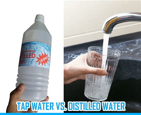 Tap Vs Distilled Water Which Is Best For Drinking