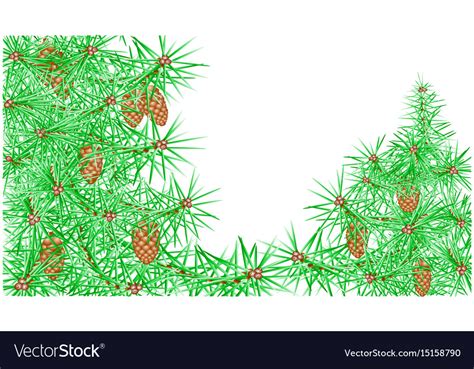 Pine branches Royalty Free Vector Image - VectorStock