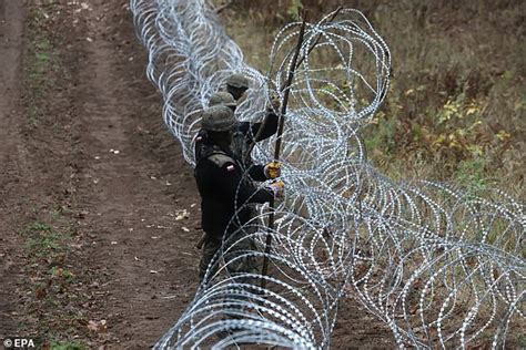 Poland Finland And Latvia To Construct Huge Barbed Wire Fences On