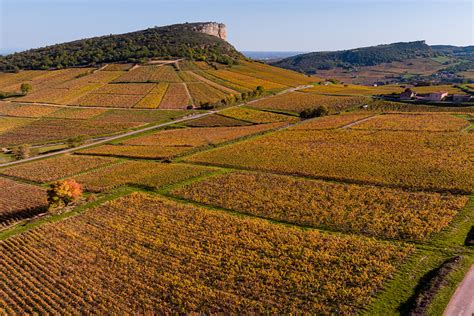 Domaine du Château de Pierreclos Grands Vins de Bourgogne