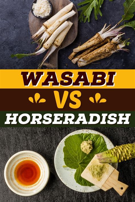 Wasabi Vs Horseradish Are They Different Insanely Good