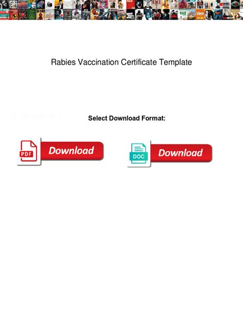 Fillable Online Rabies Vaccination Certificate Template Rabies