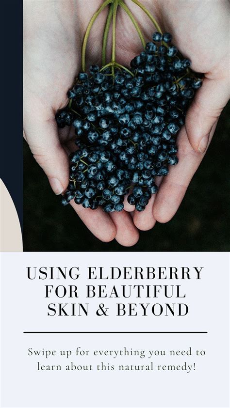 Benefits Of Elderberry For Beautiful Skin