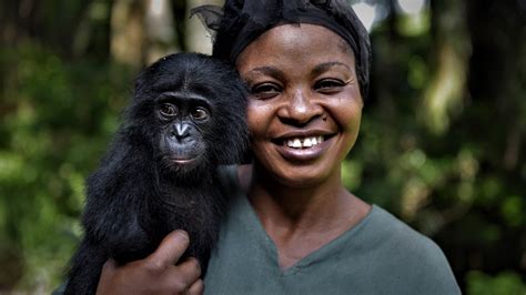 Are Humans And Apes Related? Exploring Our Primate Connection