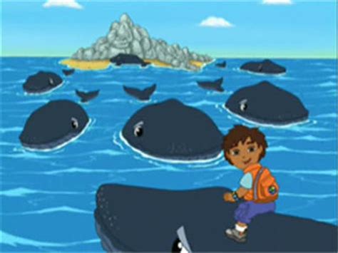 Diego Saves Baby Humpback Whale | Go, Diego, Go! Wiki | Fandom