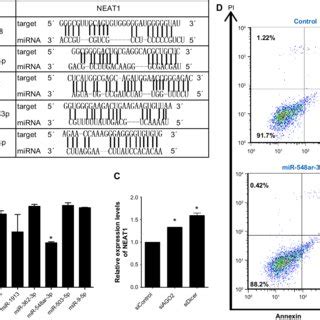 RBP FuS Binds To Neat1 A Short Segments Of RNA From FUS CLIP Seq