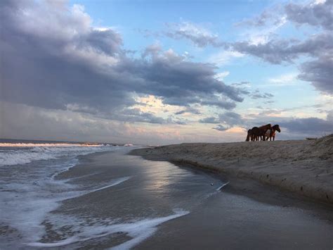 Assateague State Park Camping Updated 2018 Reviews And Photos Berlin Md Campground