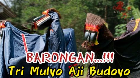 BARONGAN NOGORAJI EBEG TRI MULYO AJI BUDOYO Sarean Nogoraji YouTube