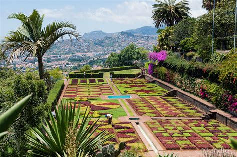 O Que Visitar E Fazer Na Madeira Bpr Madeira