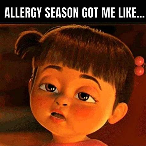 Funny Allergy Season Meme