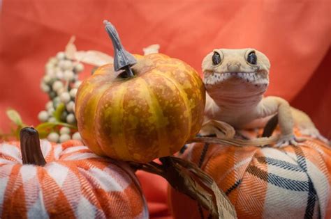 Premium Photo Happy Harvest