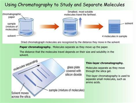 Ppt The Ramylase Project Faster Better Biotech Powerpoint