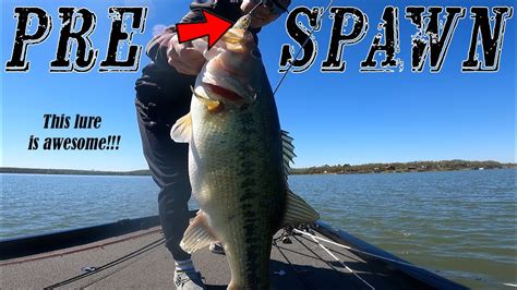 Pre Spawn Bass Fishing This Lure Is Awesome Youtube