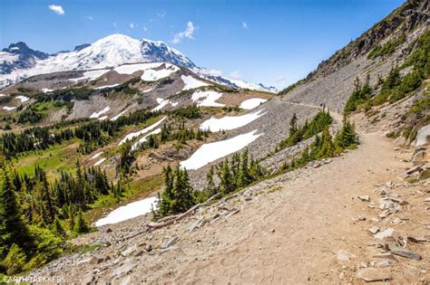 15 Epic Hikes in Mount Rainier National Park – Earth Trekkers