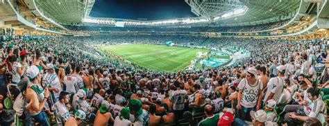 Imagens Do Palmeiras Papel De Parede Palmeiras [walpapers]