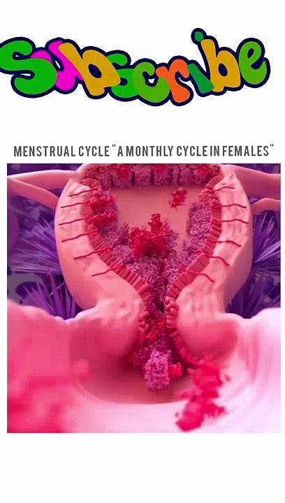 How Period Happened How Menstruation Happened Video Dailymotion