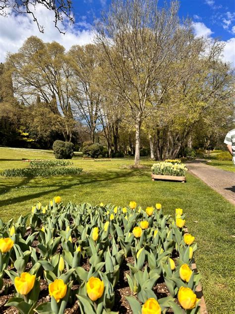 Visitare Il Parco Giardino Sigurtà Due Punti Sulla Mappa