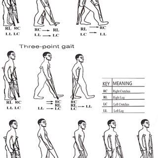 Gait Patterns Assistive Device Weight Bearing Status Study Off