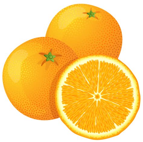 Large Painted Orange Png Clipart Fruit Orange Clip Art