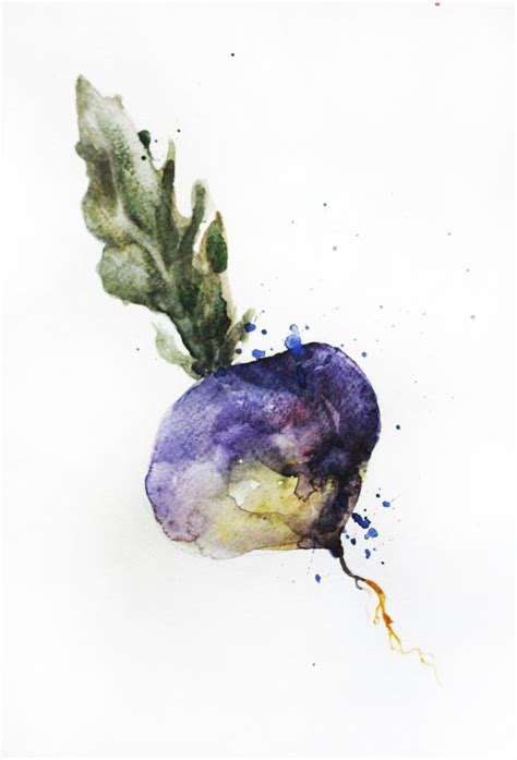 Original Watercolor Painting Beet Art Vegetables Watercolor Etsy