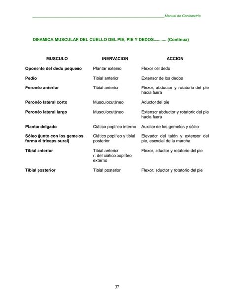 Manual De Goniometria Pdf