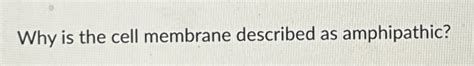 Solved Why is the cell membrane described as amphipathic? | Chegg.com