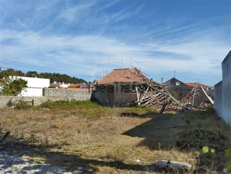 Terreno Venda Na Estrada Dos Guilhermes S N Picassinos Comeira