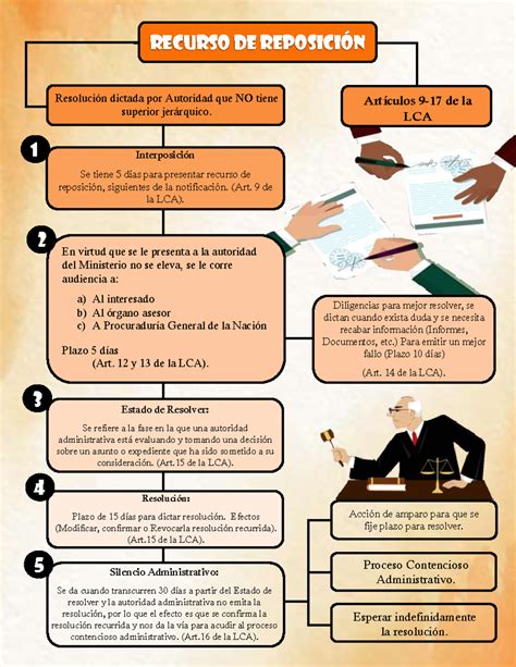 Esquema del Recurso de Reposición RECURSO DE REPOSICIÓN Resolución