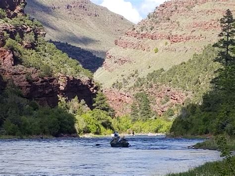 Dripping Springs Campground (ut) Camping | The Dyrt