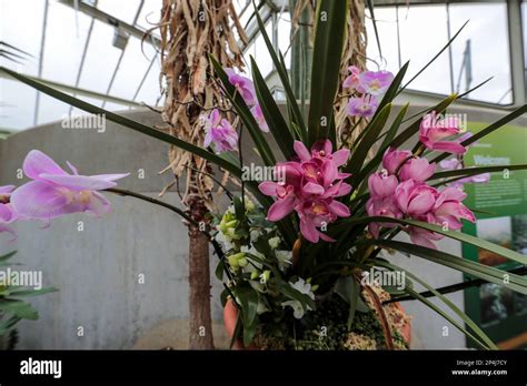 Kew Gardens, London Stock Photo - Alamy