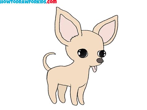 How to Draw a Chihuahua - Easy Drawing Tutorial For Kids