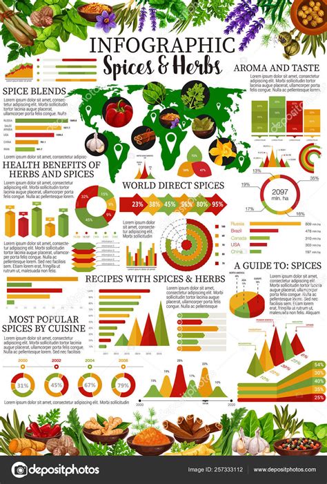 Pictures Herbs And Spices Chart With Spices Infographic With Herb