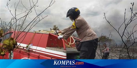 Puluhan Hektar Lahan Hutan Way Kambas Terbakar Polisi Buru Pelaku