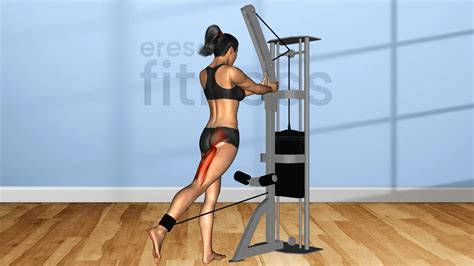 Extensión de cadera con polea de pie Ejercicio y beneficios iFitness