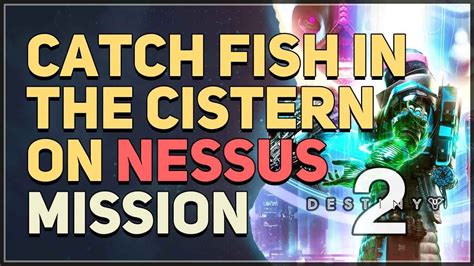 Catch Fish In The Cistern On Nessus Destiny 2 Youtube