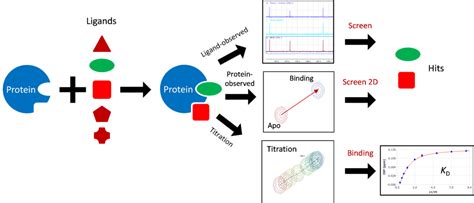 Optimizing Fragment Based Drug Discovery By Nmr A Deep Dive Into Mnova