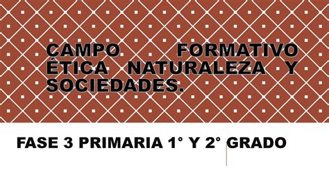 Especificidades Del Campo Formativo Tica Naturaleza Y Sociedades Fase