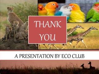 Wildlife conservation and its benefits | PPT