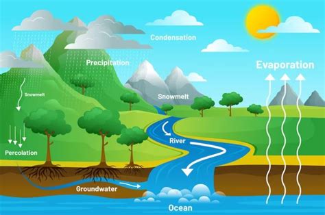 What Are The Parts Of A River