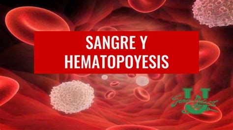 Sangre Y Hematopoyesis Histologia Ppt