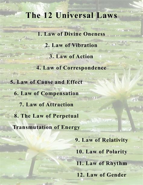 The Universal Laws The Law Of Compensation Kamilah Rose The