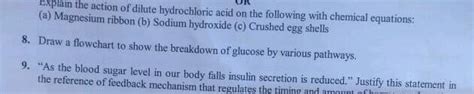 Dr Explain The Action Of Dilute Hydrochloric Acid On The Following With