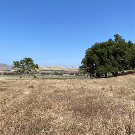 Funders For Regenerative Agriculture Gathering At Paicines Ranch The