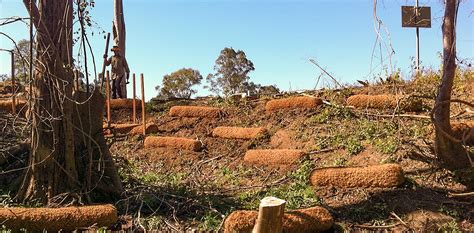 Erosion Control Matting Coir Log Geofabrics Australasia