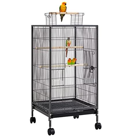 Top 10 Best Bird Cages For Budgies To Buy In 2023